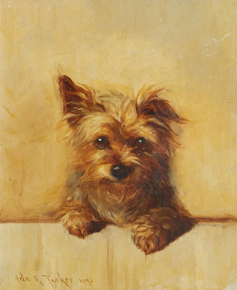 Ada Eliza Tucker
