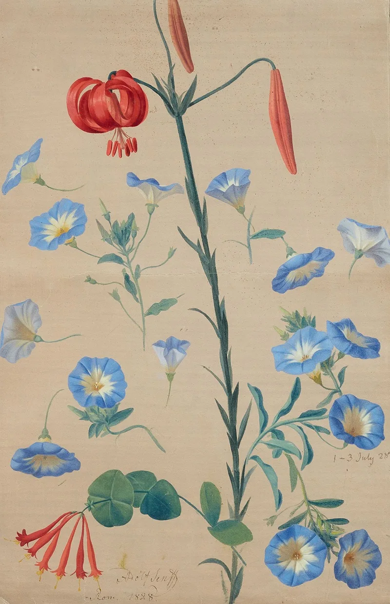 Adolf Carl Senff