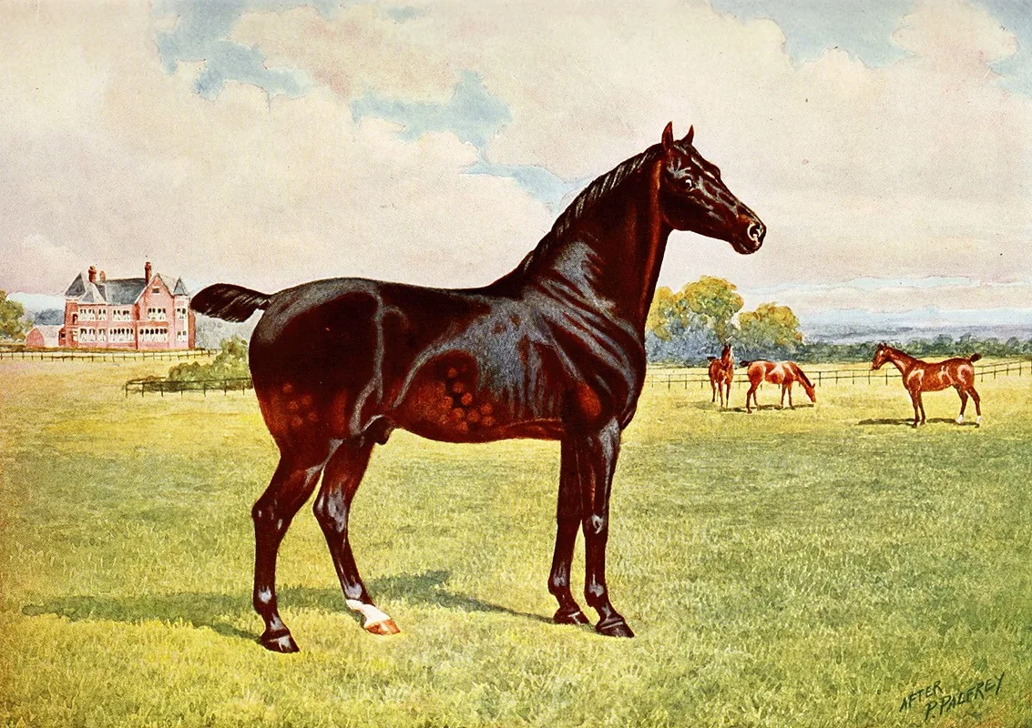 After Penry Powell Palfrey