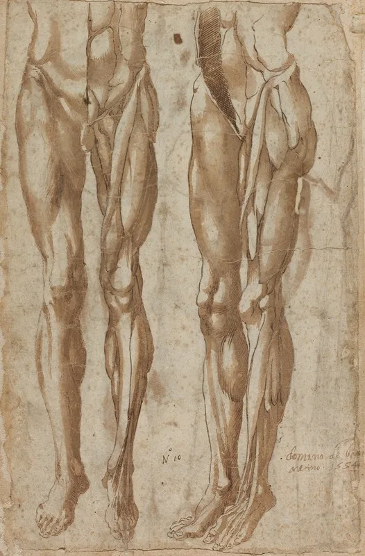 Bartolommeo da Arezzo