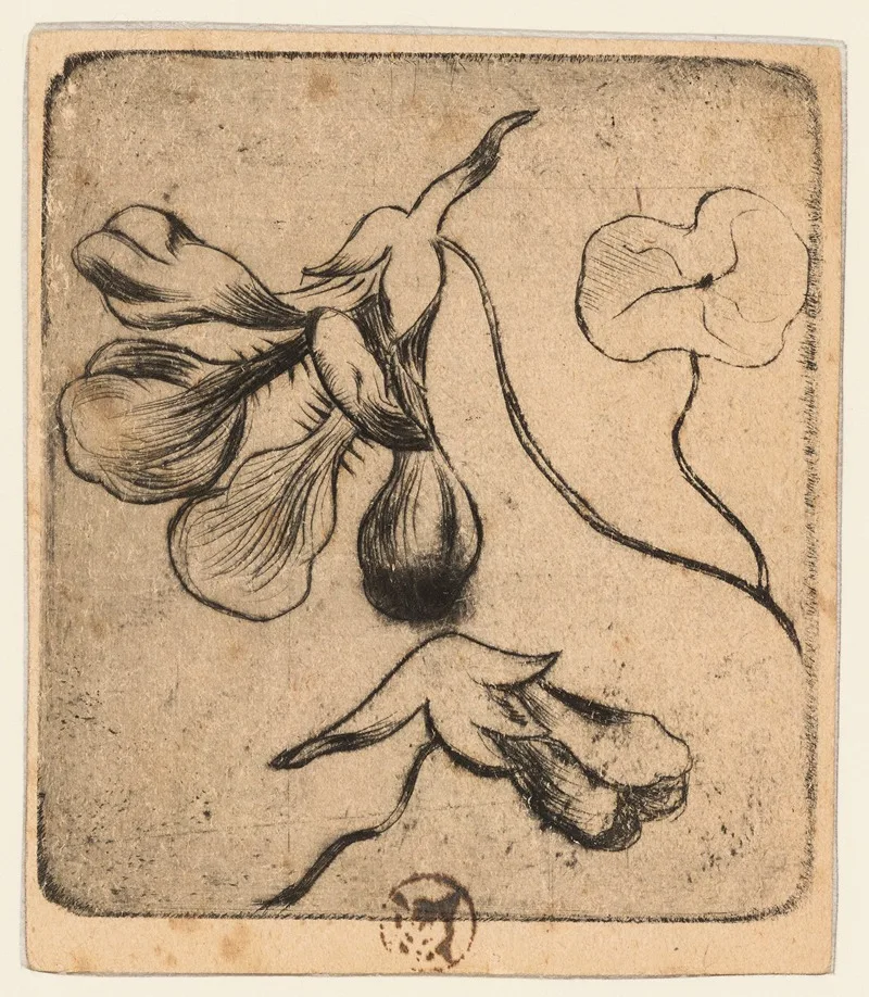 Blanche Derousse