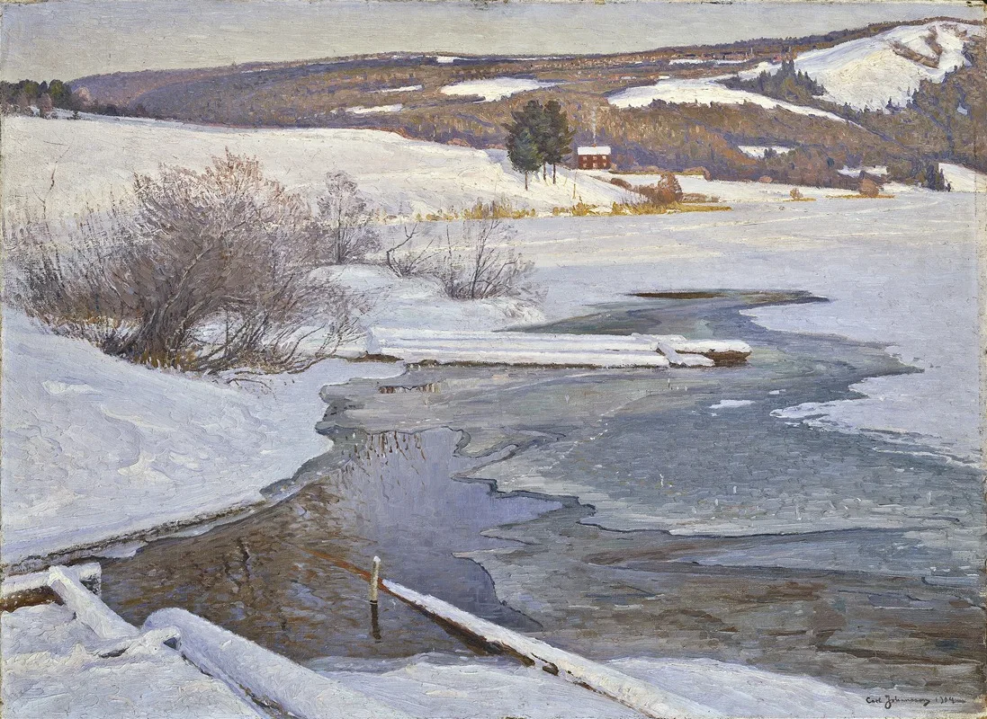 Carl Johansson
