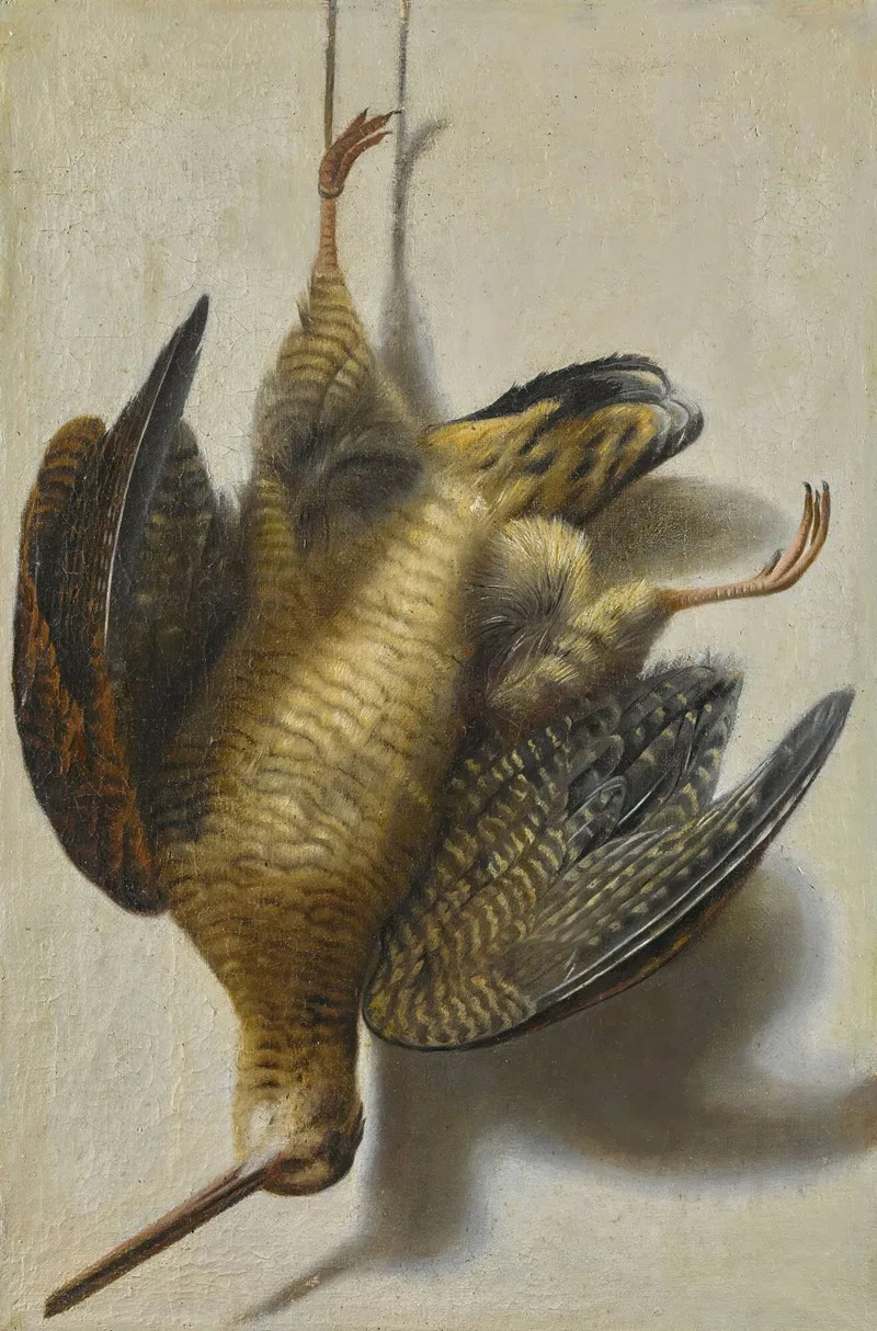 Cornelis Biltius