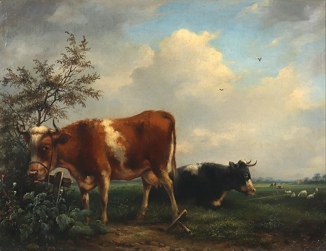 Dirk Van Lokhorst