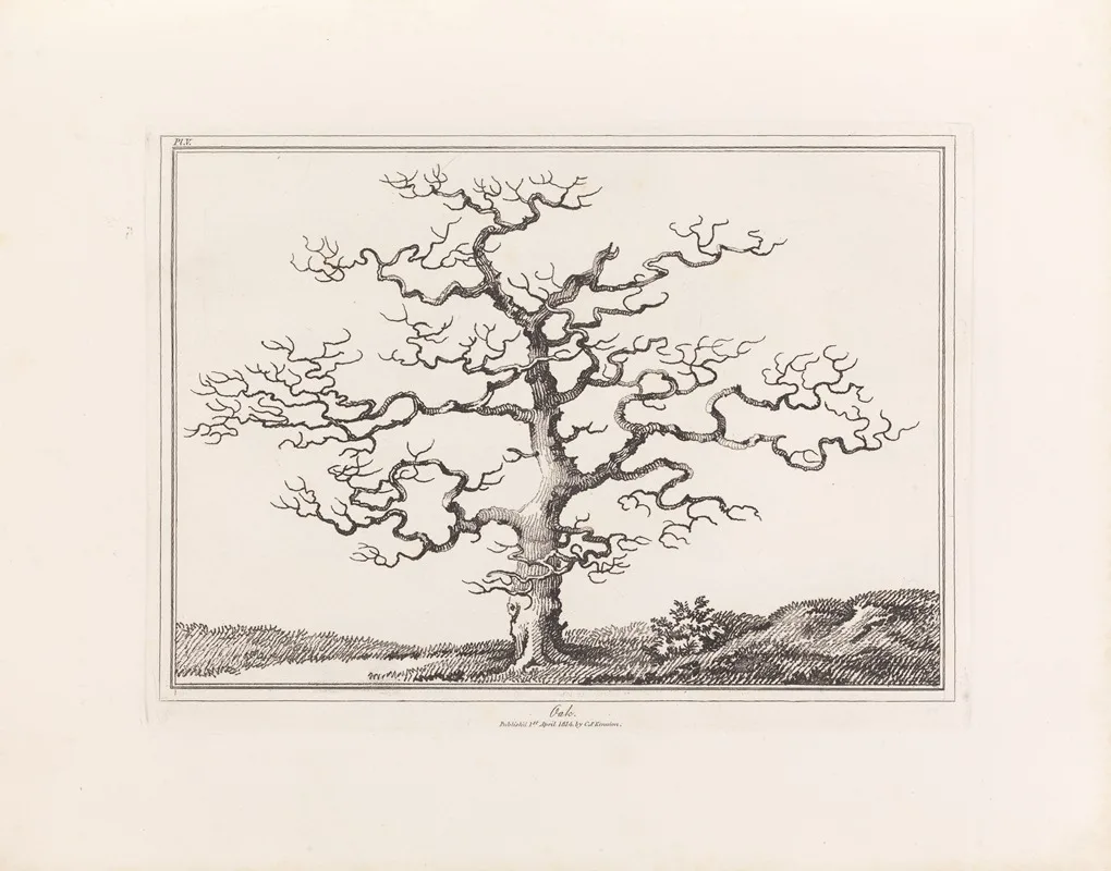 E. Kennion