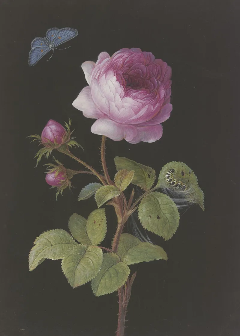 Elisabeth Christina Matthes