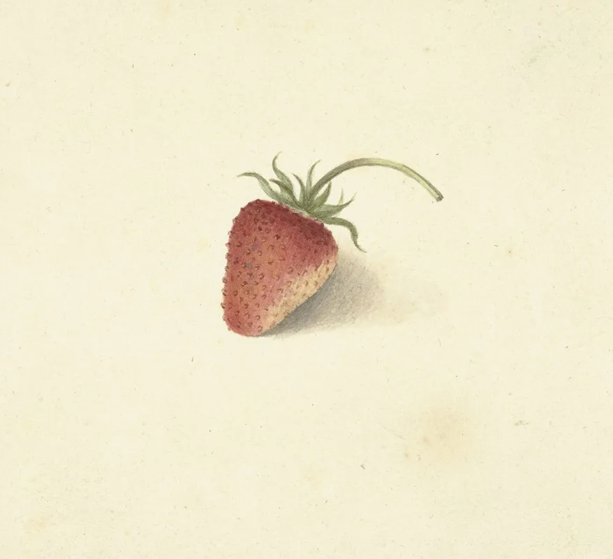 Elisabeth Geertruida van de Kasteele