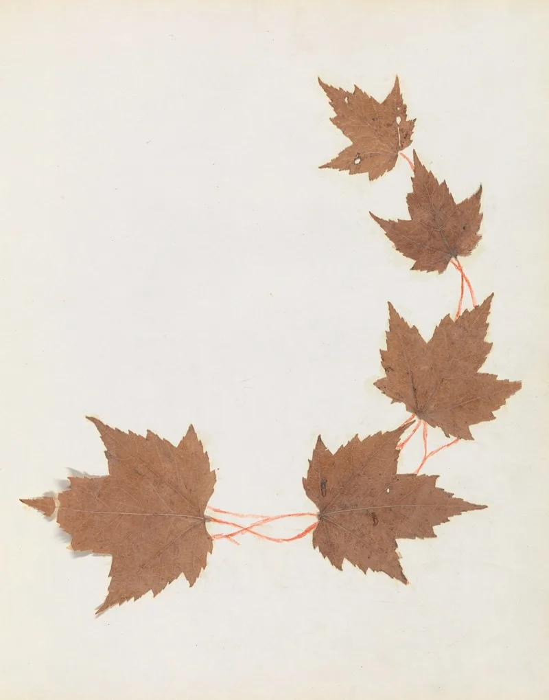 Ellen W.