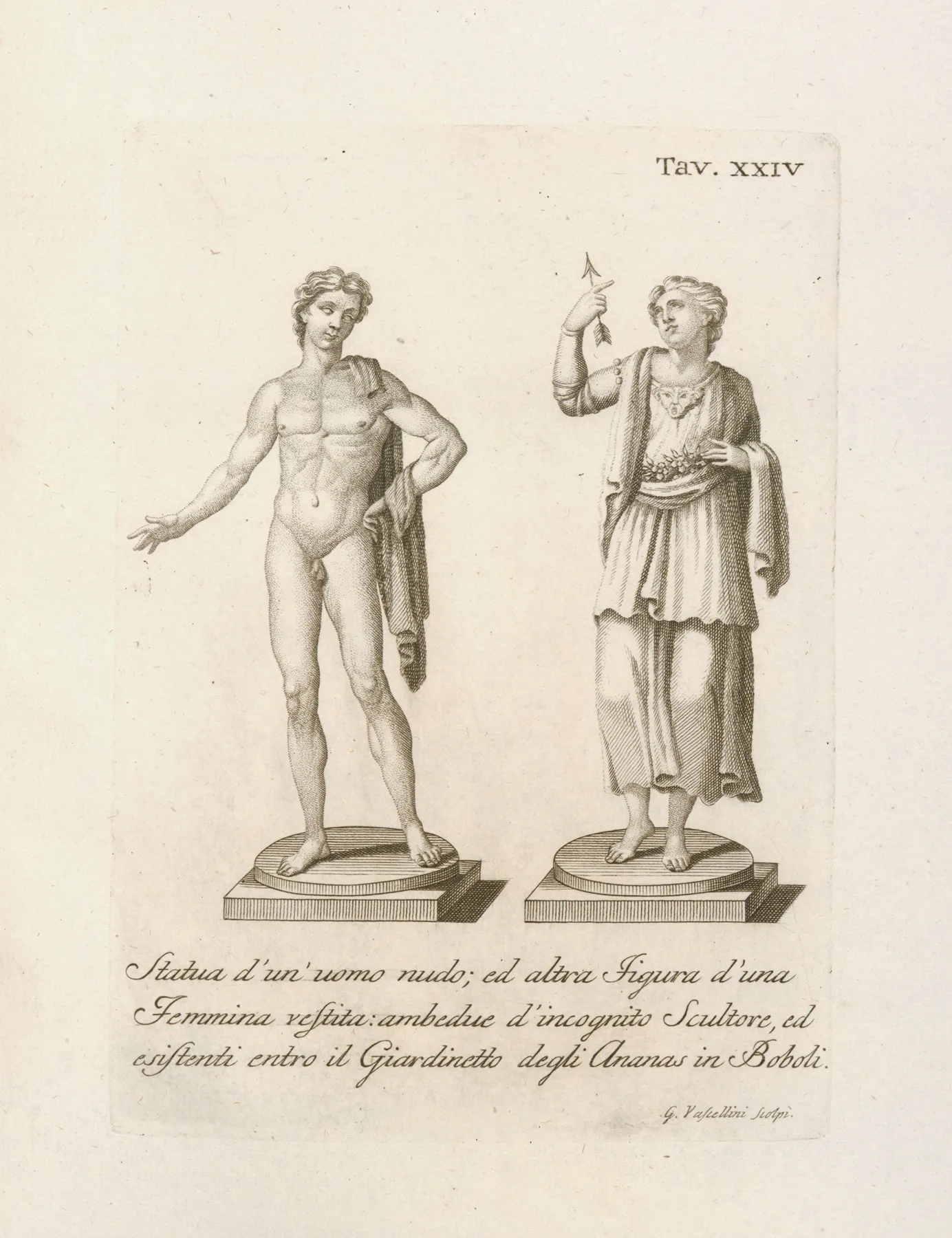 Gaetano Vascellini