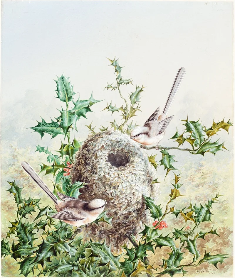 Harry Bright
