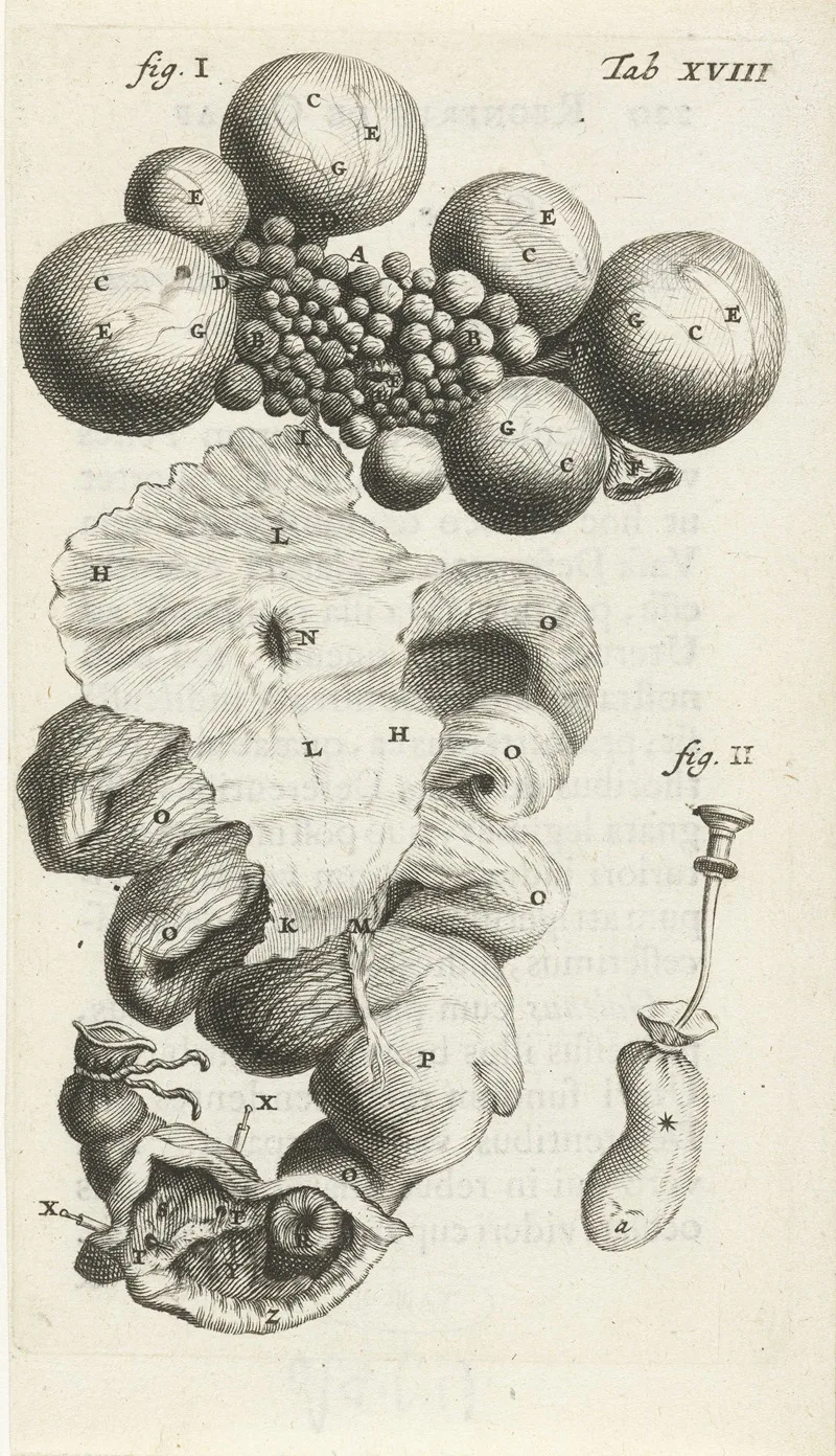 Hendrik Bary