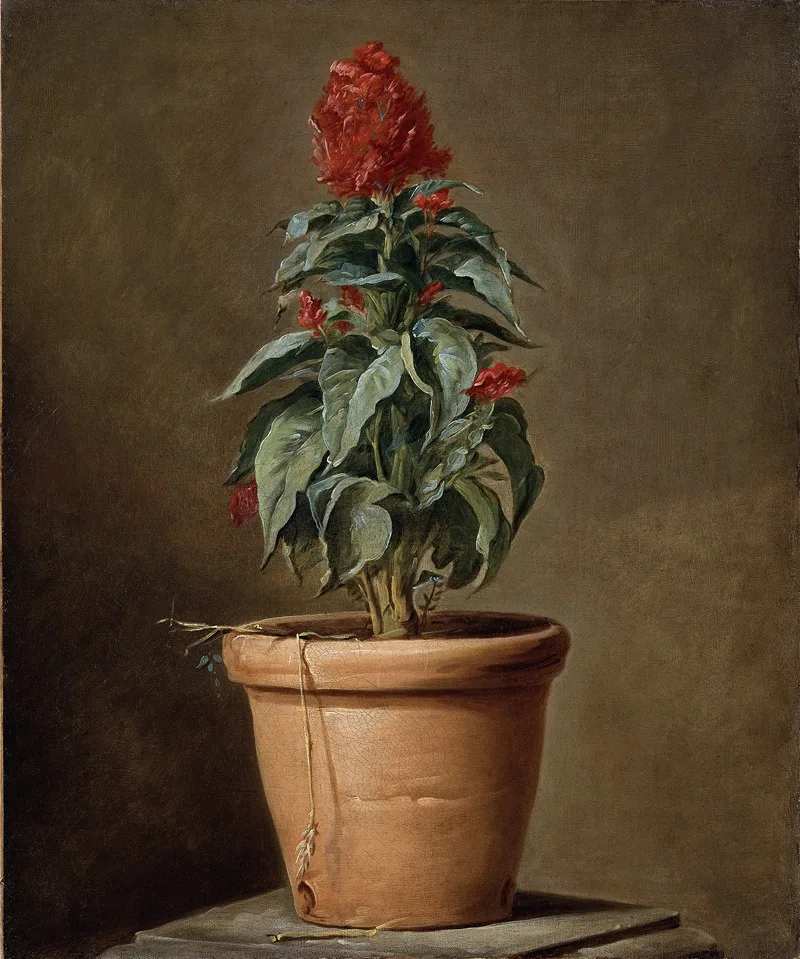 Henri-Horace Roland Delaporte