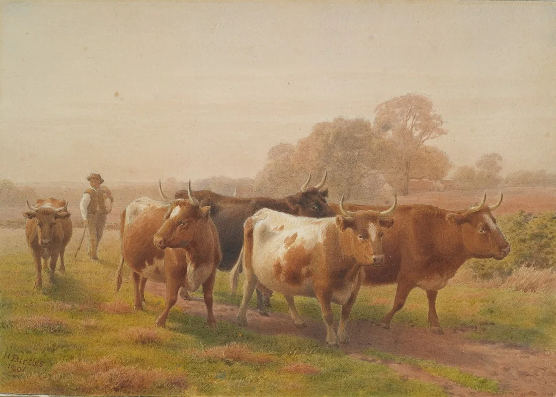 Henry Birtles