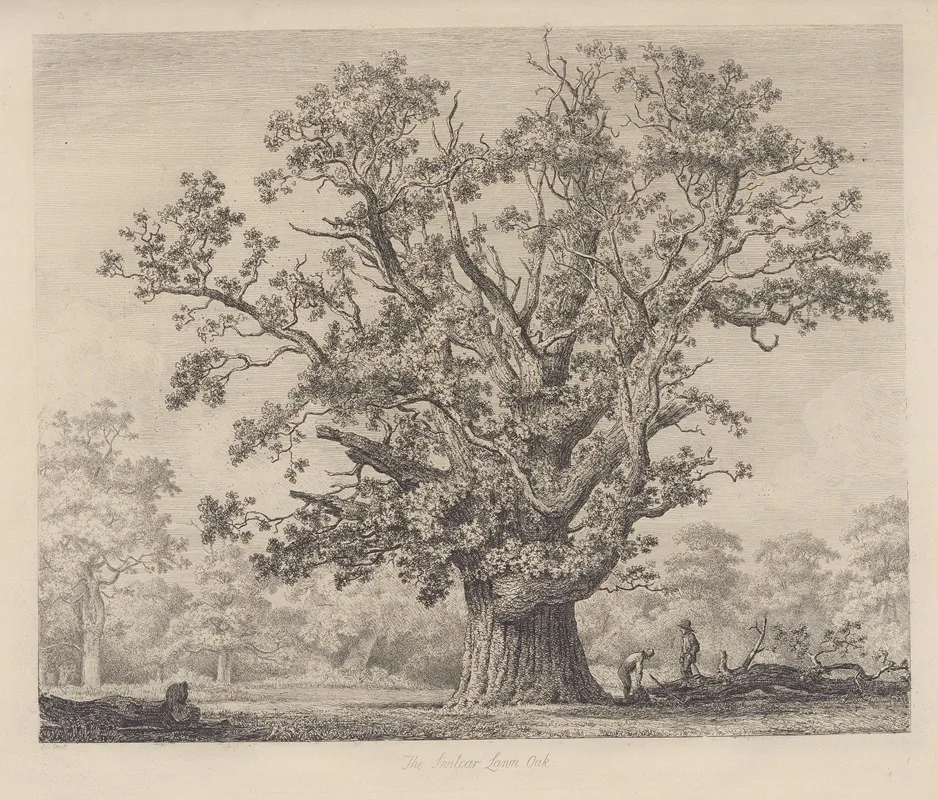 Jacob George Strutt