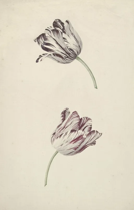 Jan Jansz. van der Vinne