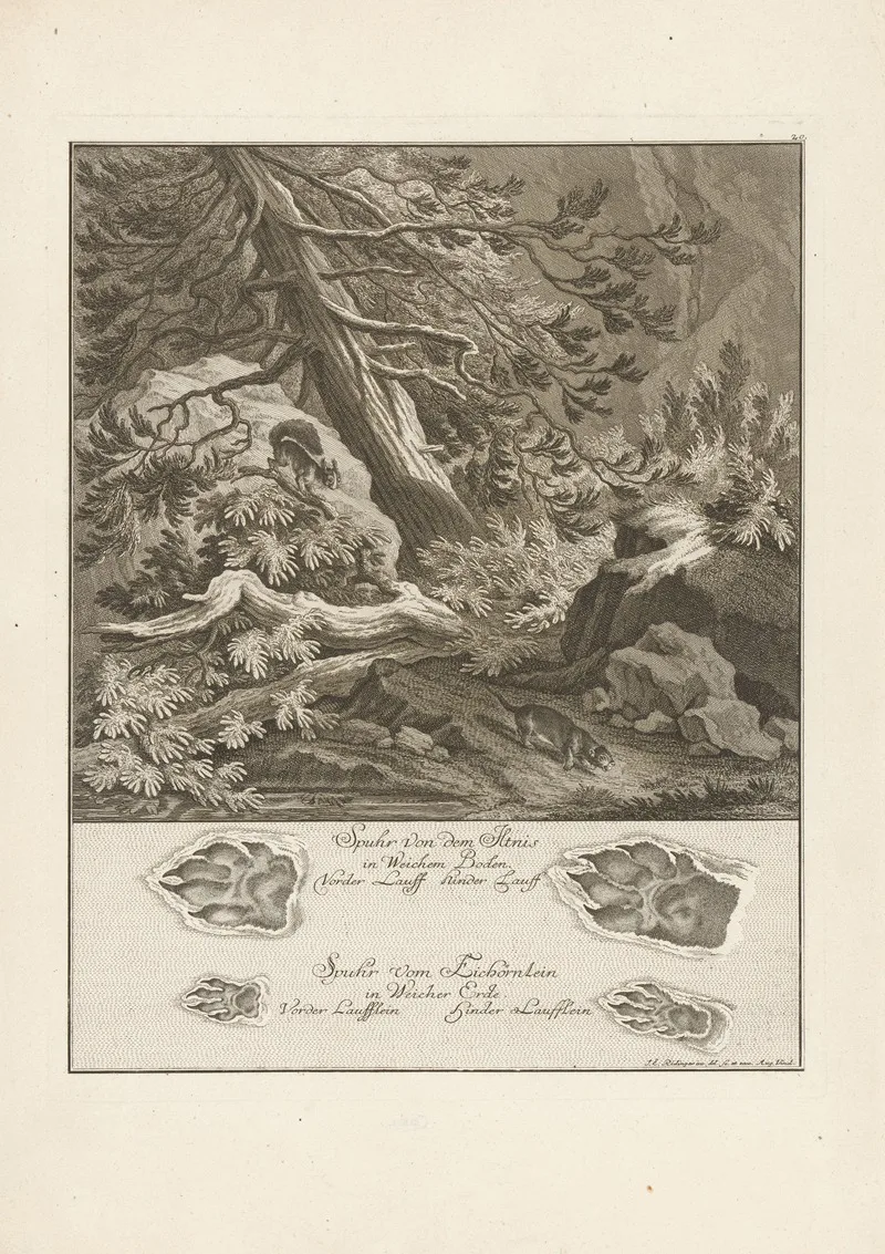Johann Elias Ridinger