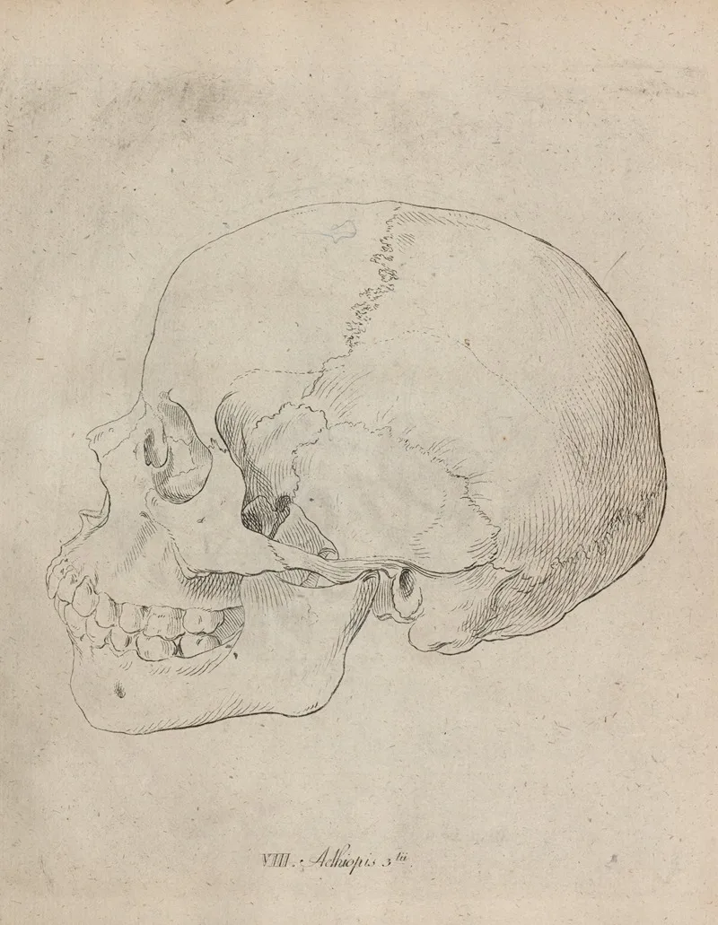 Johann Friedrich Blumenbach
