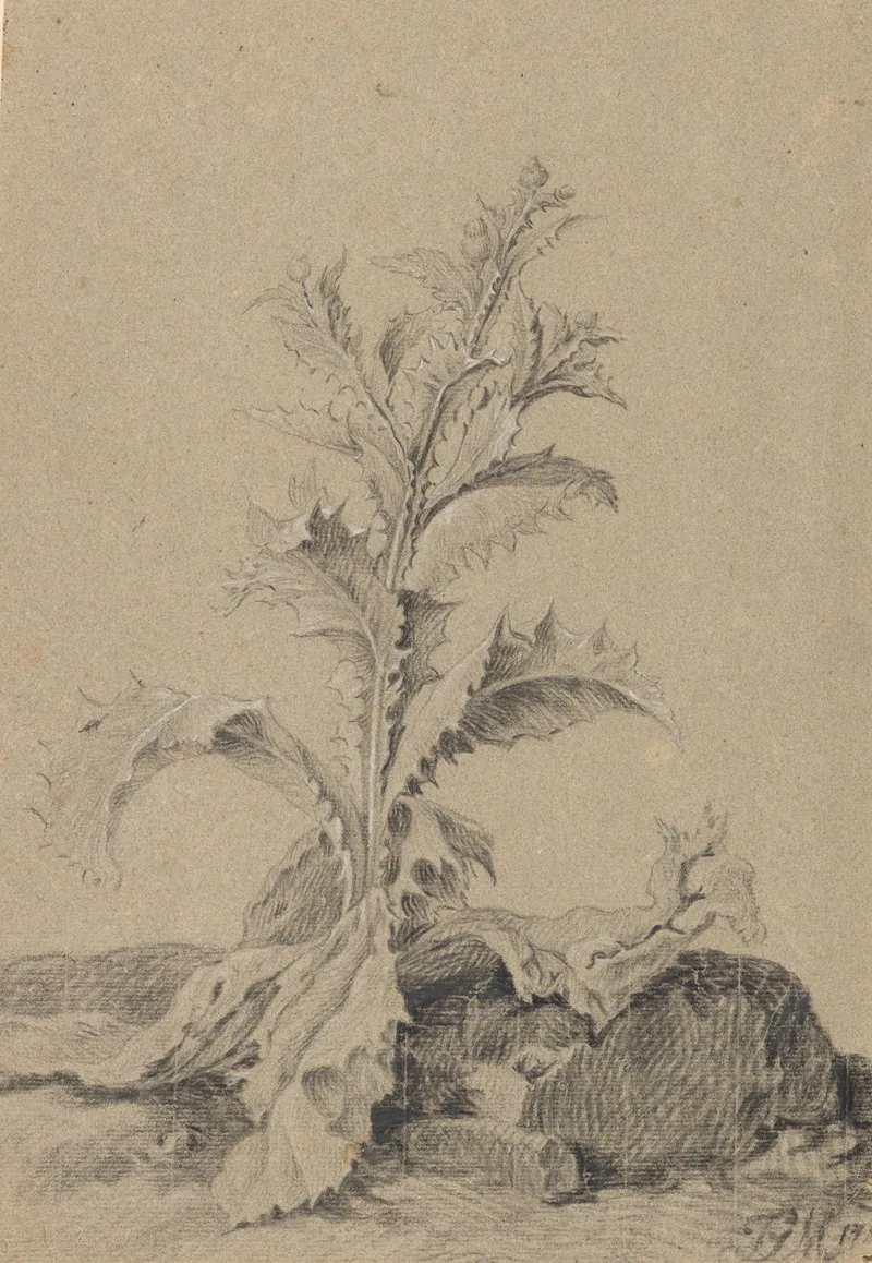 Johann Georg Mansfeld