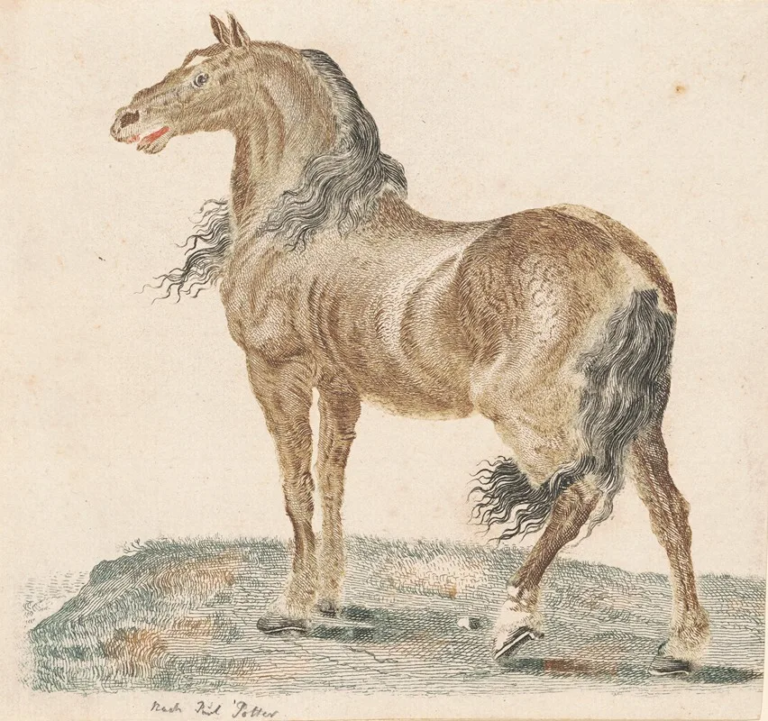 Johann Teyler
