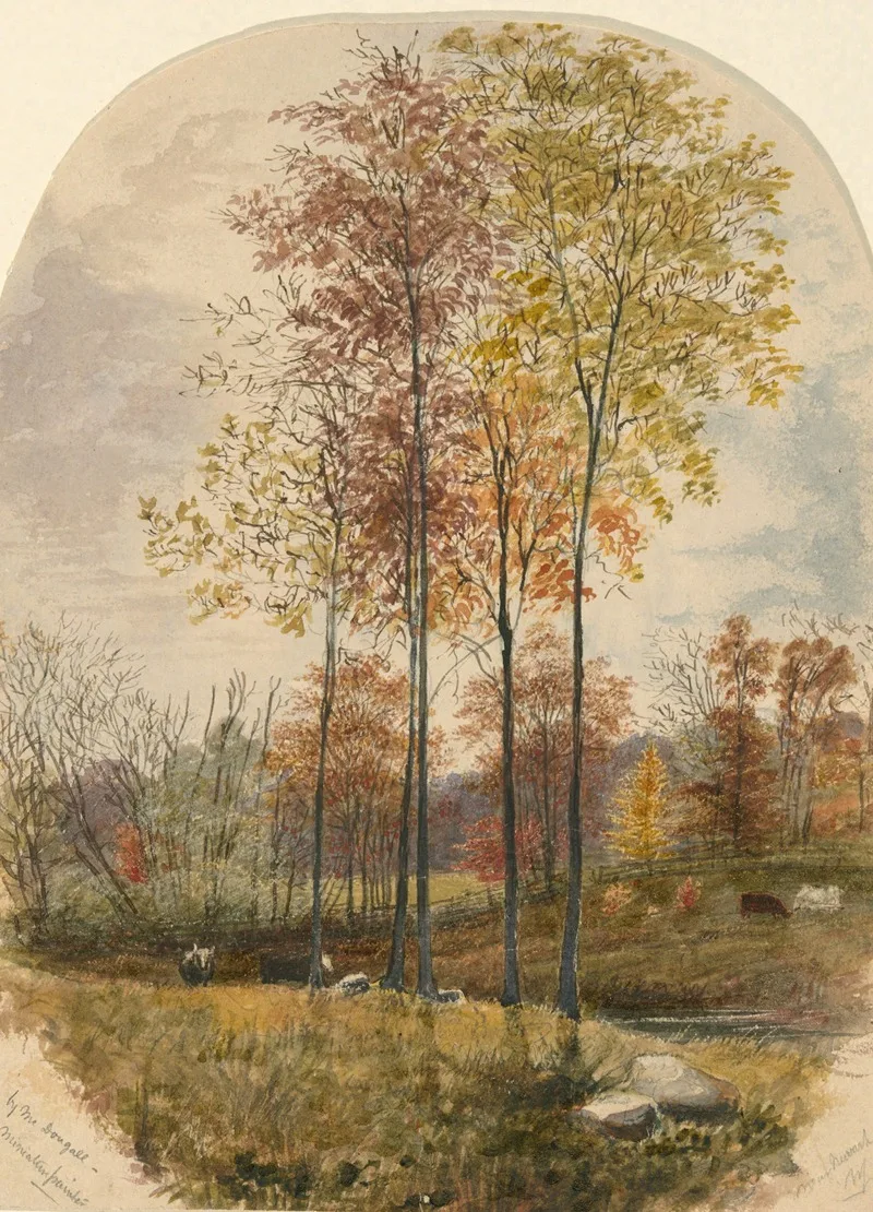 John Alexander MacDougall
