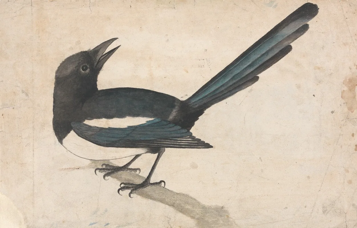 John Bewick