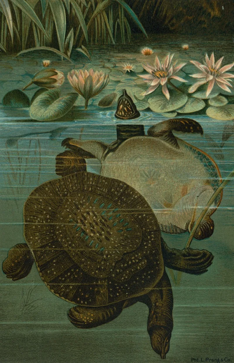 John George Wood