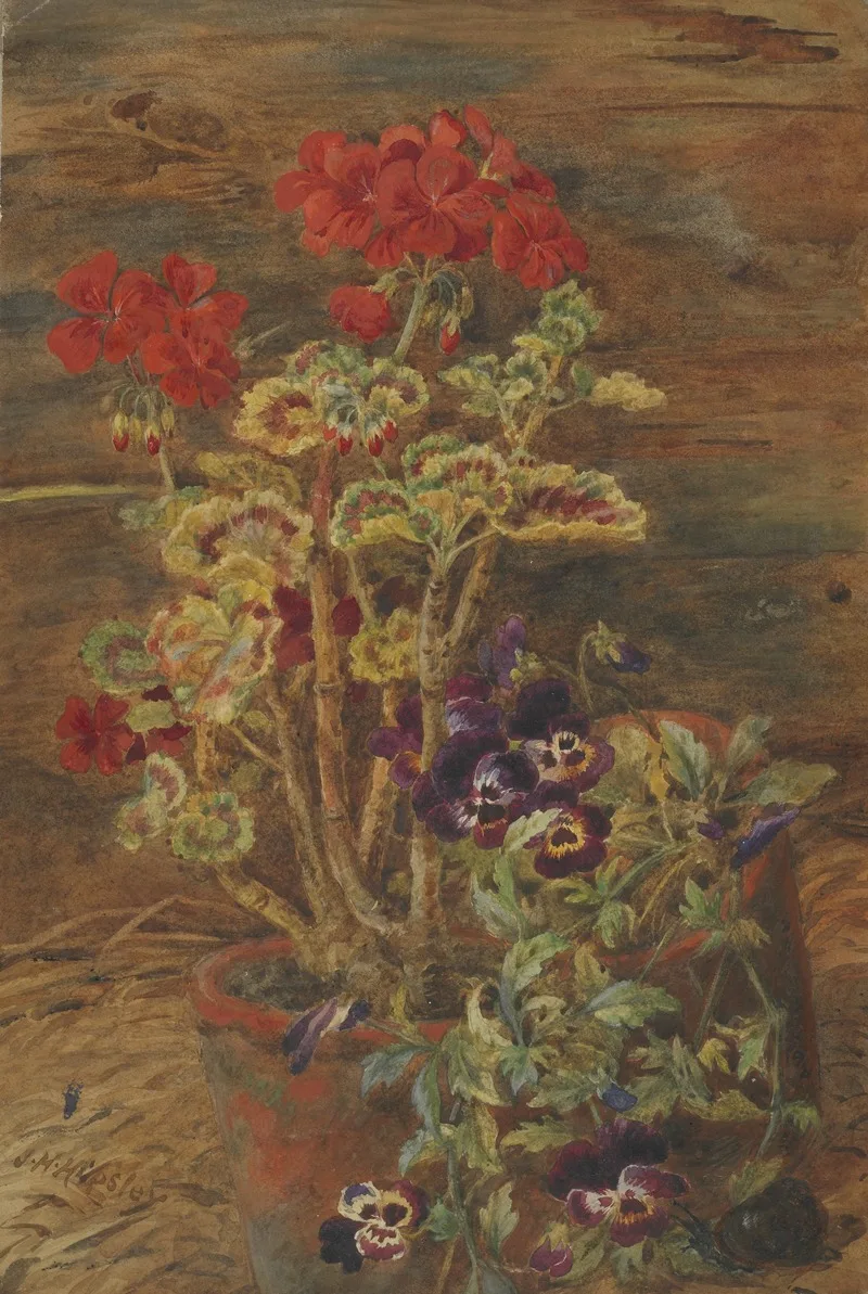 John Henry Hipsley