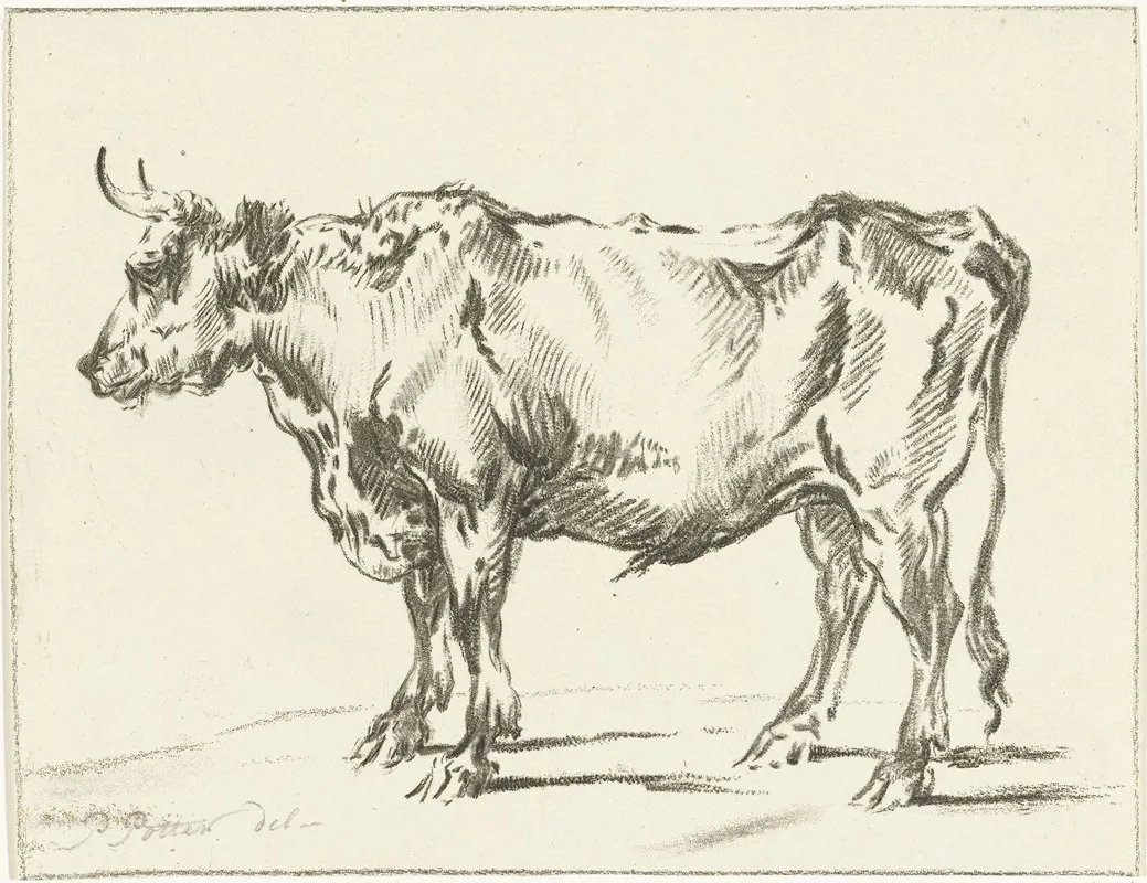 Jurriaan Cootwijck