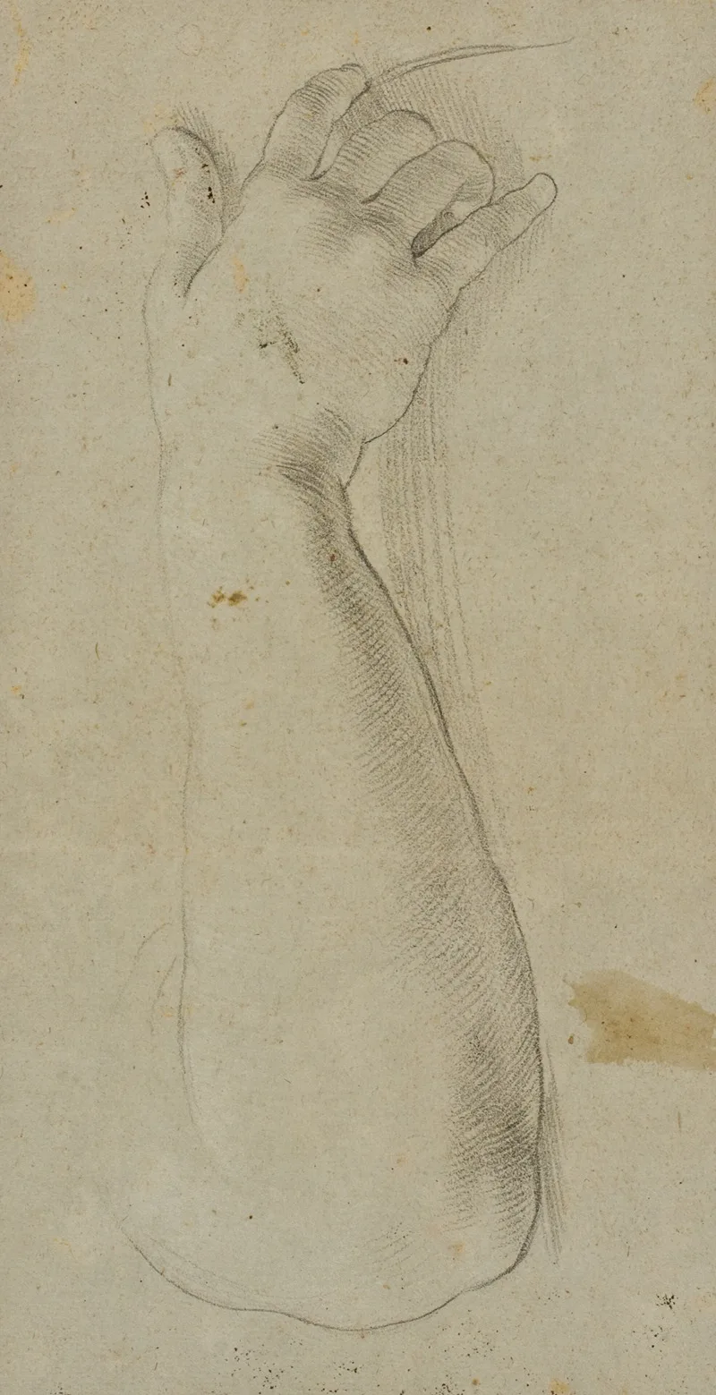 Lorenzo Masucci