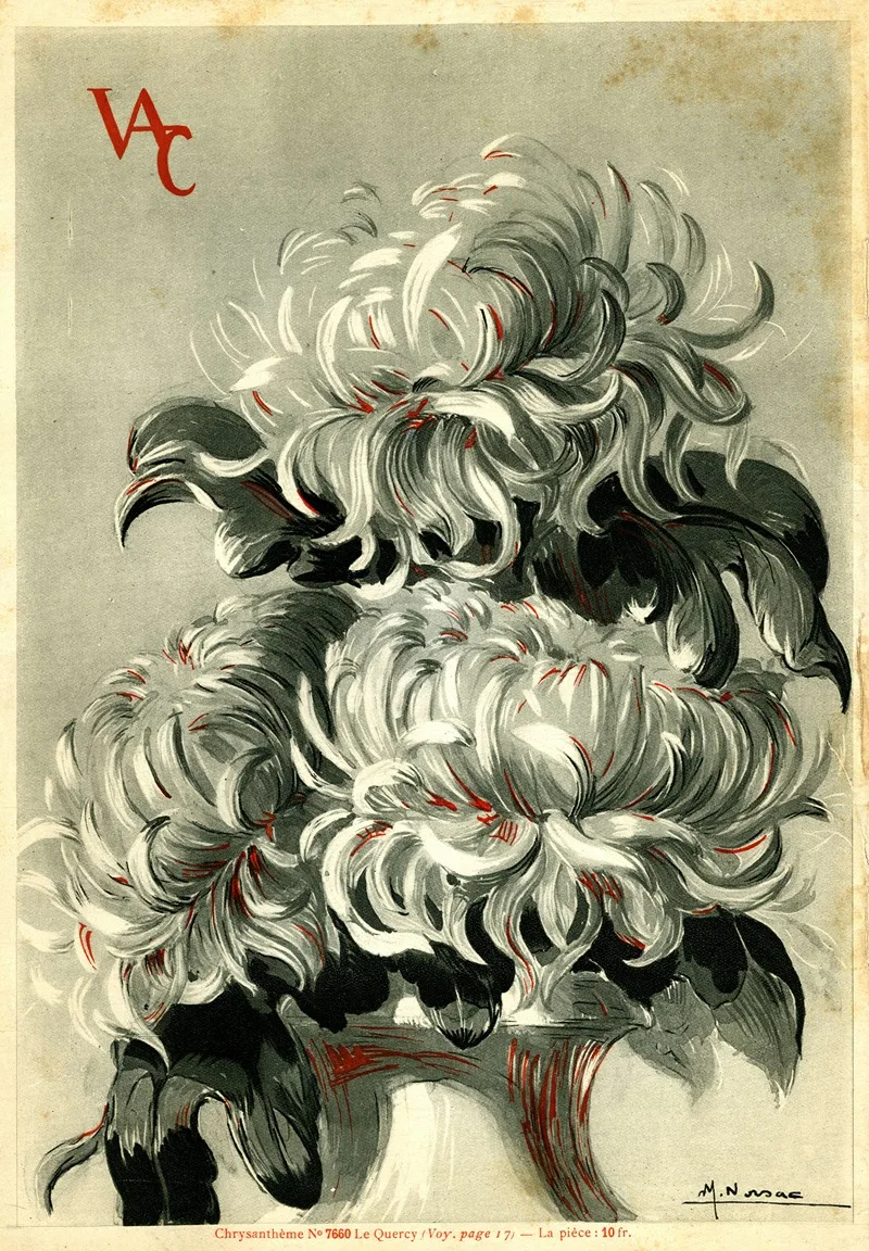 M. Norsac