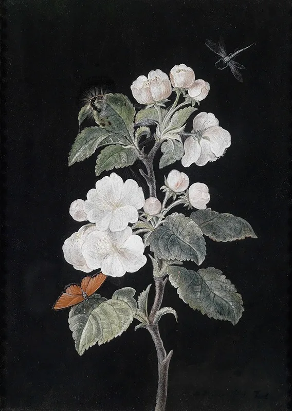 Margaretha Barbara Dietzsch