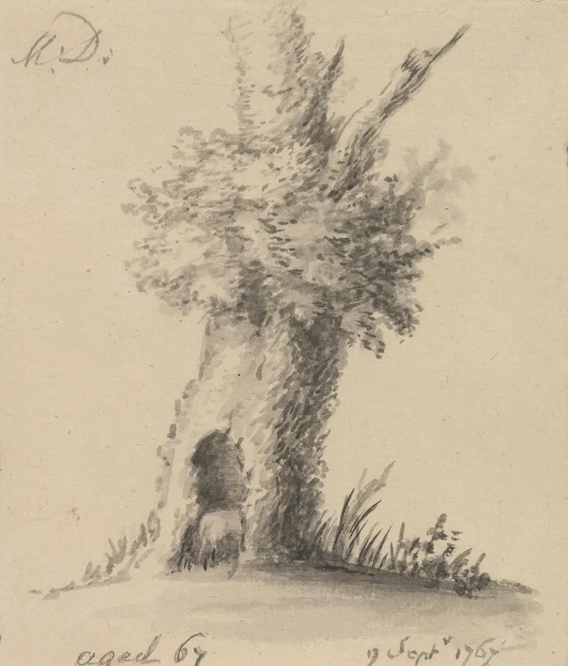 Mary Delany
