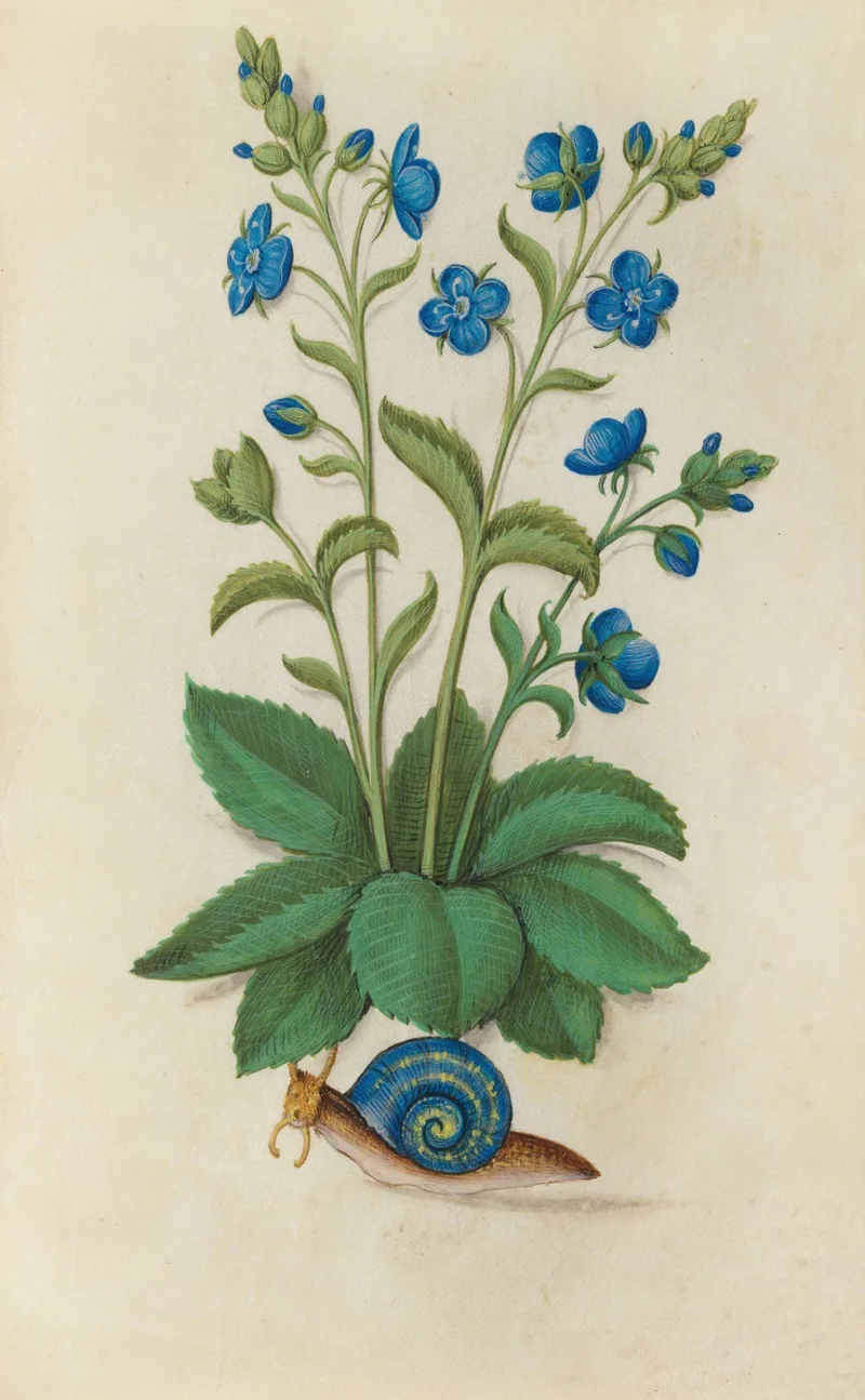 Master of Claude de France