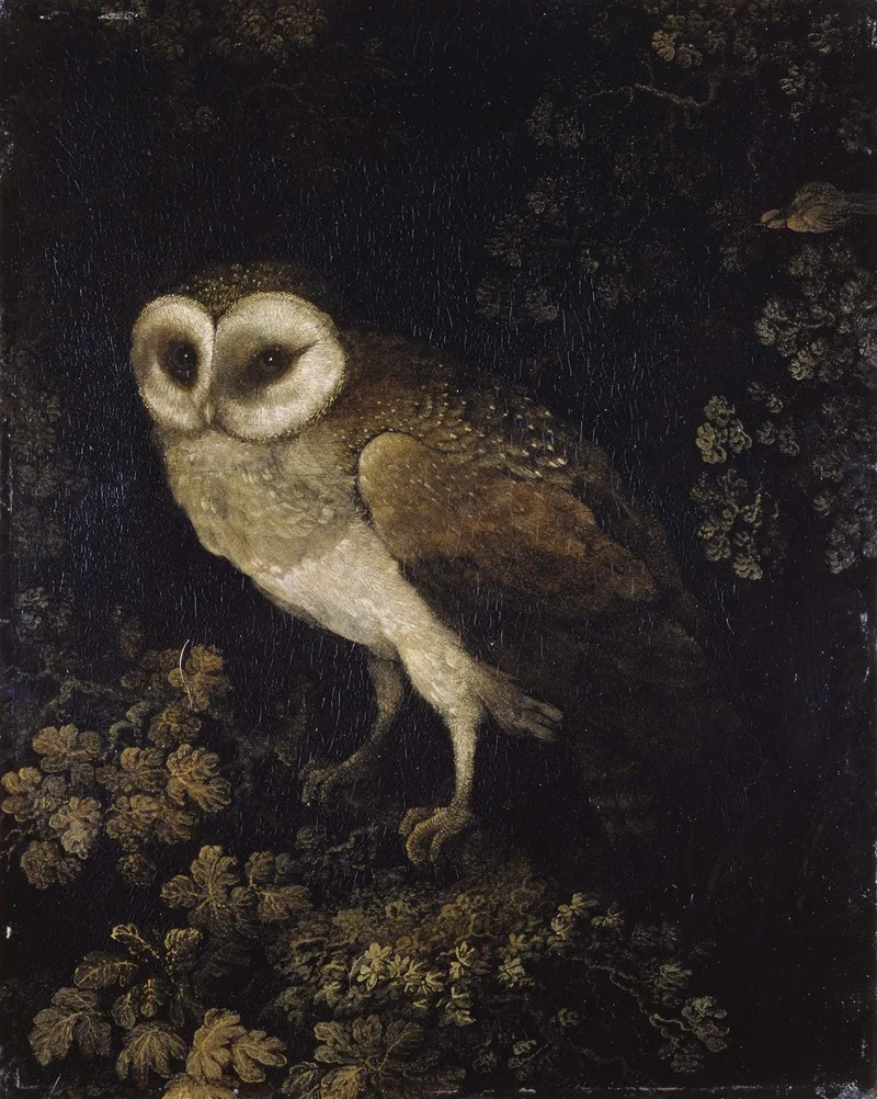 Moses Haughton
