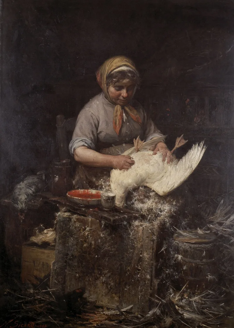Nicolas Sicard