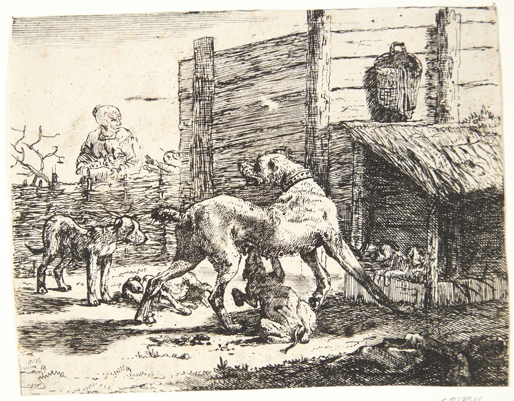 Paulus van Hillegaert II