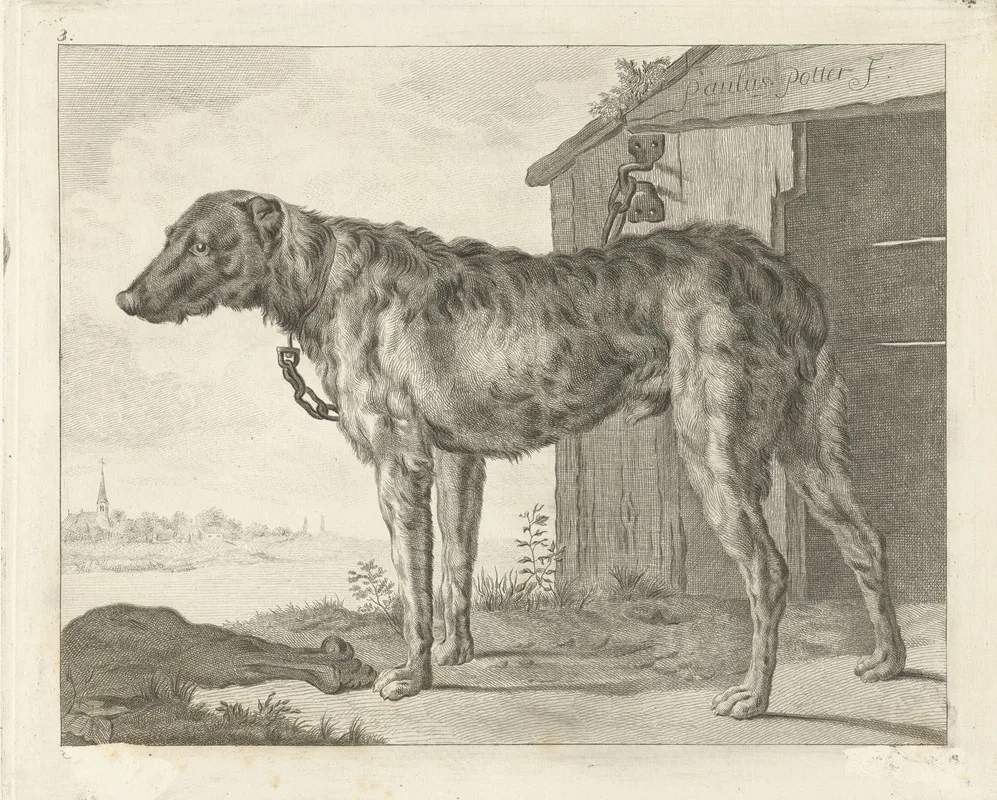 Pieter de Mare