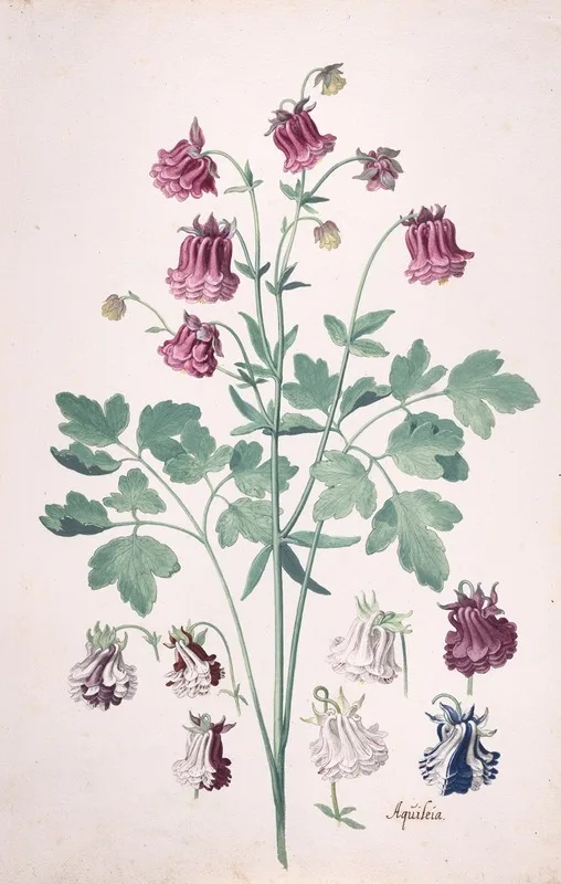 Pieter Holsteyn II