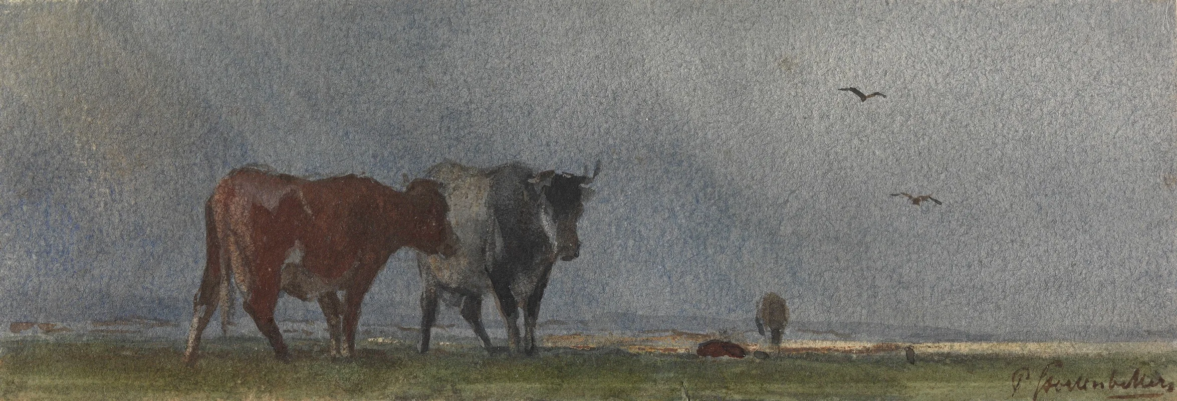 Pieter Stortenbeker