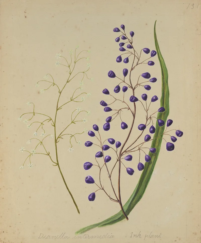 Sarah Featon