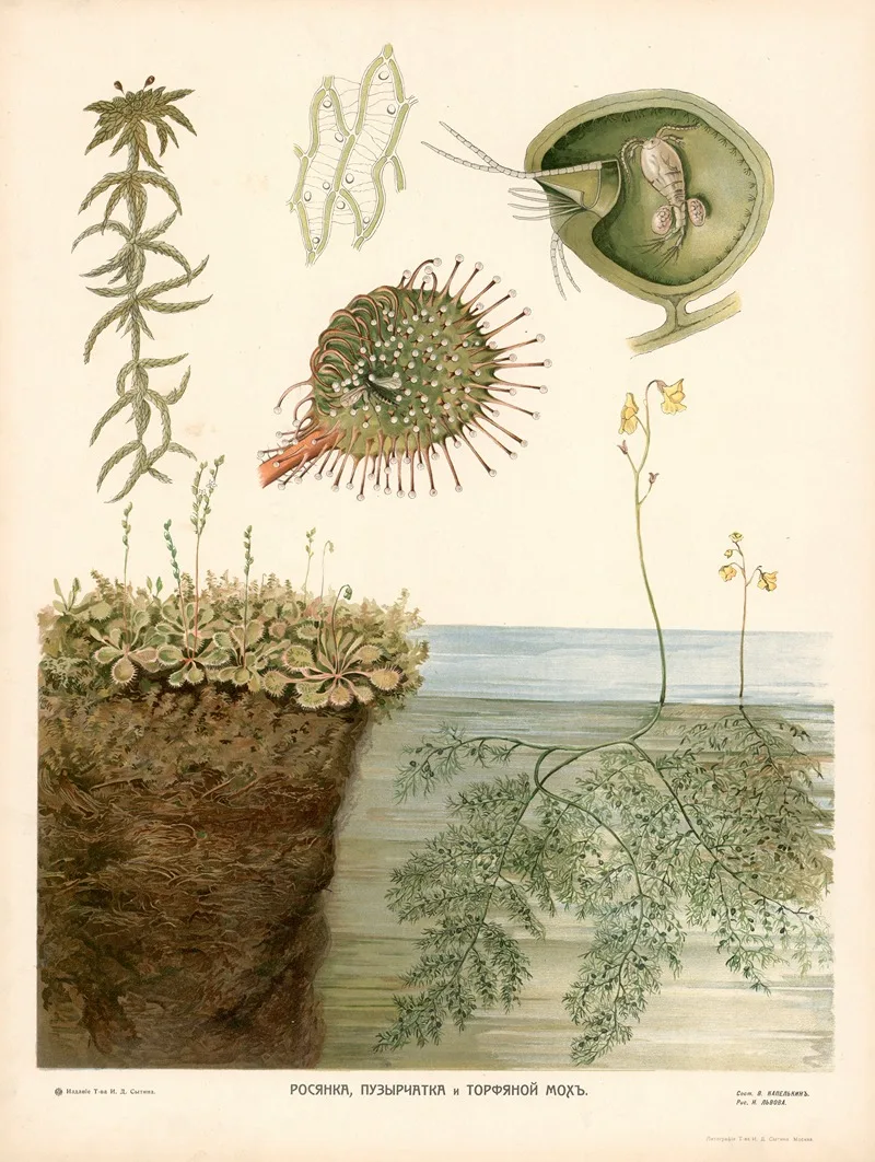 T-va I. D. Sytina