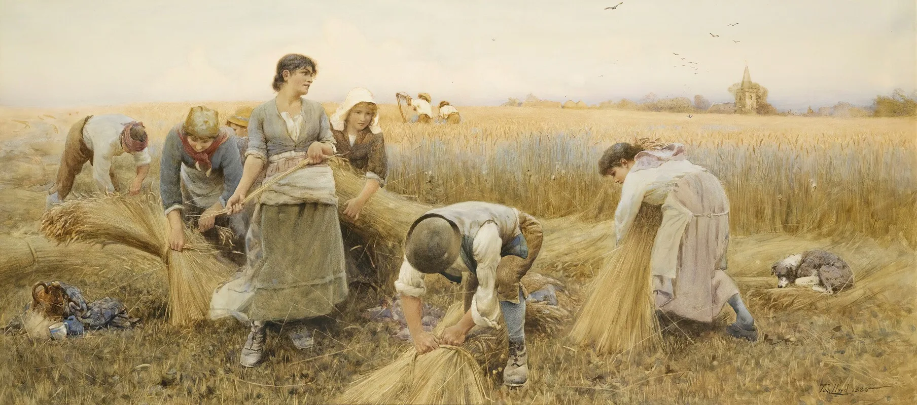 Thomas James Lloyd