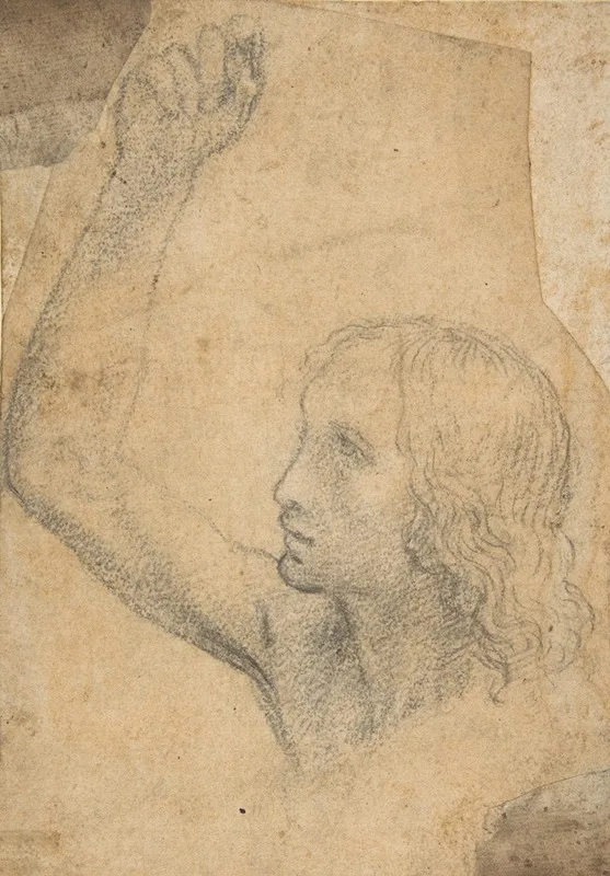 Timoteo Viti