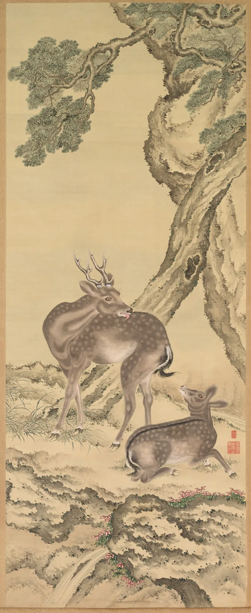 Toda Tadanaka