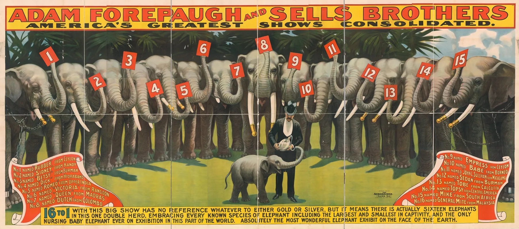 16 To 1 Absolutely The Most Wonderful Elephant Exhibit On The Face Of The Earth