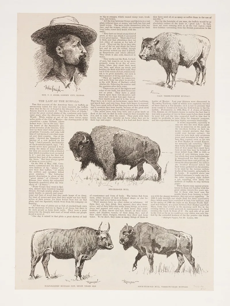 6 Drawings Of American Buffalo And Portrait Of Ho N C J Jones Garden City Kansas Wall Art by Frederic Remington - High-Resolution Digital Print