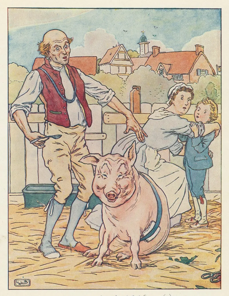 A Bandaged Sow