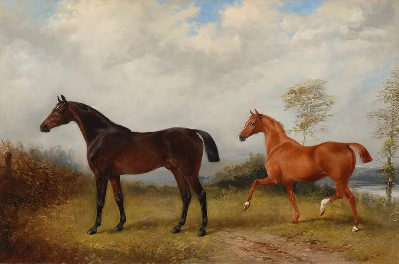 A Bay And A Chestnut Hunter In A Wooded Landscape Wall Art by Henry Barraud - High-Resolution Digital Print