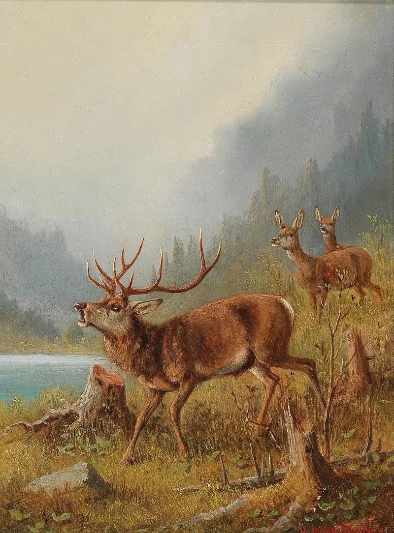 A Bellowing Stag 2