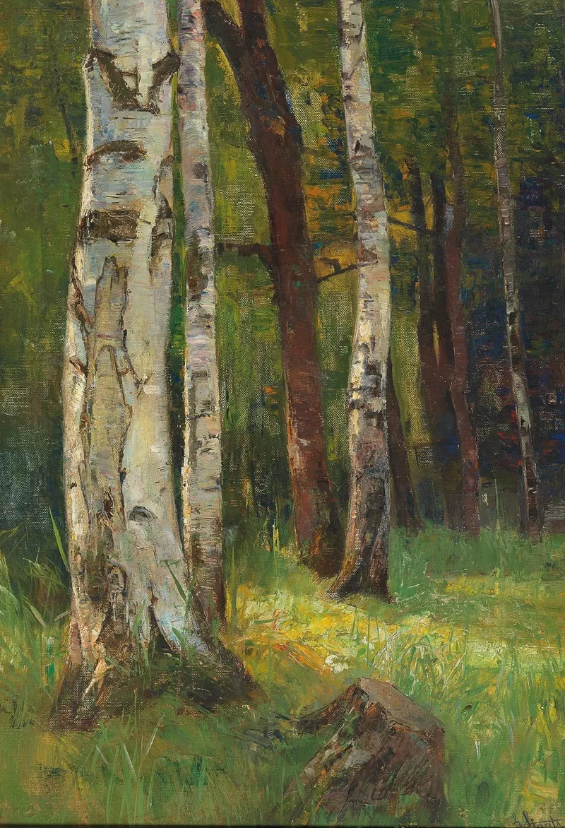 A Birch Forest